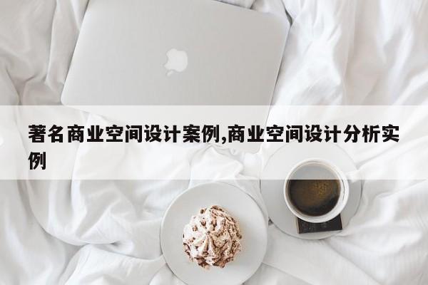 著名商业空间设计案例,商业空间设计分析实例