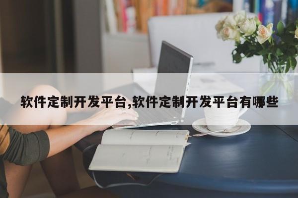 软件定制开发平台,软件定制开发平台有哪些